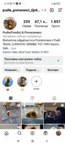 Stenci toy i mini pudle Slika 4